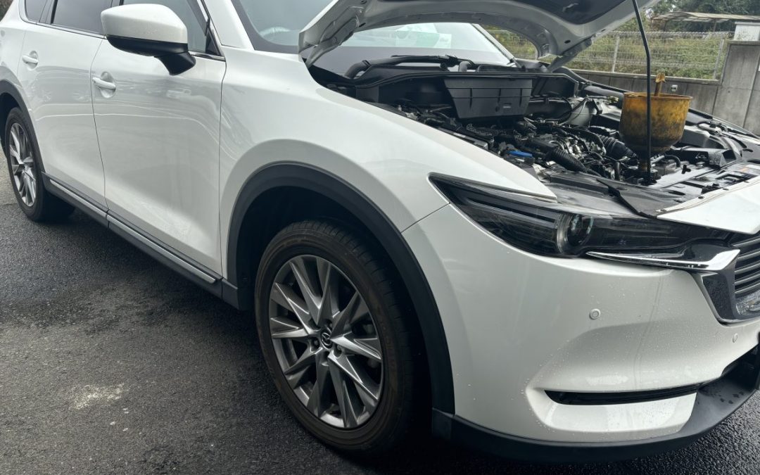 本日の朝一様は CX-8 80,000kmでございました。