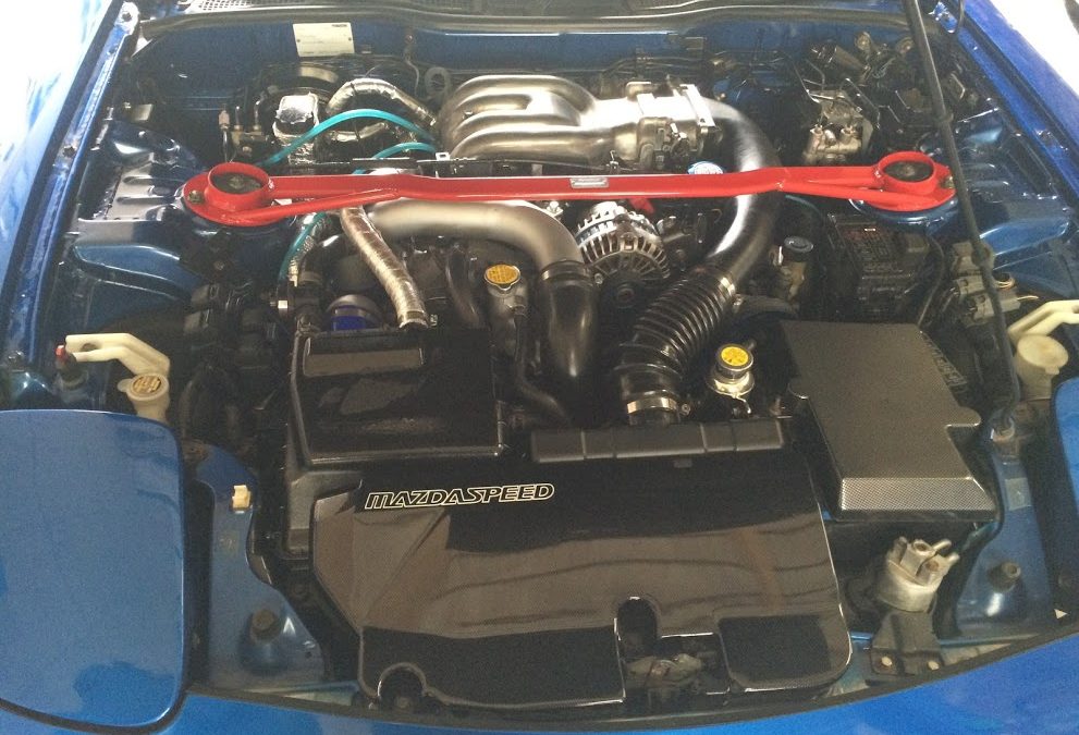 羊の皮をかぶった、、、ぇ？ヤギ？？