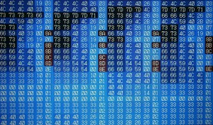 PC060027-300x176